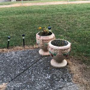 Meet your Posher, Wanda